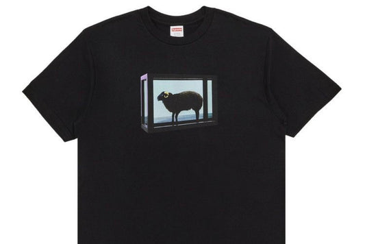 Supreme x Damien Hirst Tee