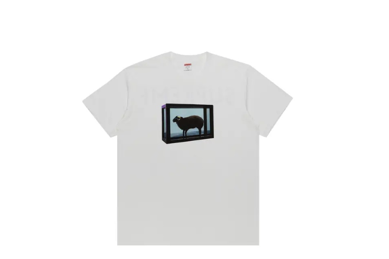 Supreme x Damien Hirst Tee