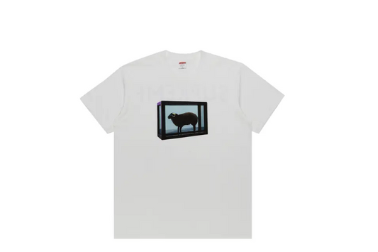 Supreme x Damien Hirst Tee