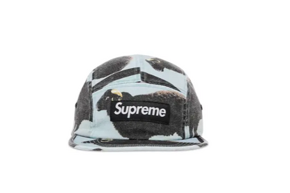 Supreme x Damien Hirst Camp Cap