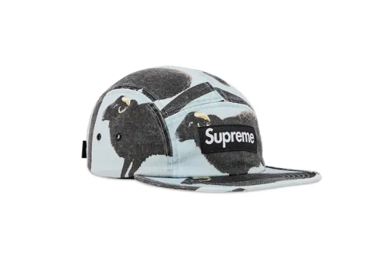 Supreme x Damien Hirst Camp Cap